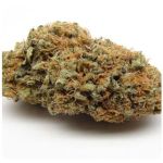 Шишки AK47 (Гидропоника, Бошка) VHQ в Гудермесе Шишки AK47 (Гидропоника, Бошка) VHQ в Гудермесе